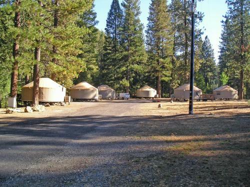 Yosemite Lakes Meadow Yurt 19