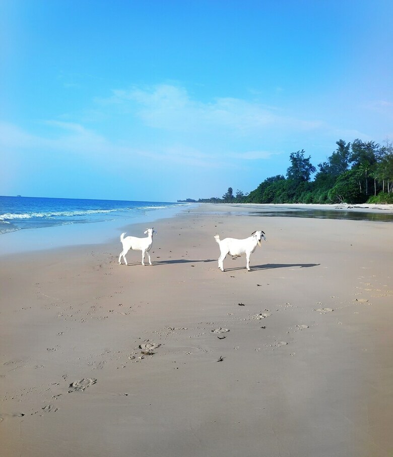 Hotel Earth Park Resorts