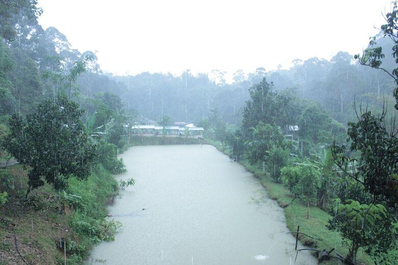 Hotel Tokwan's Agro Village