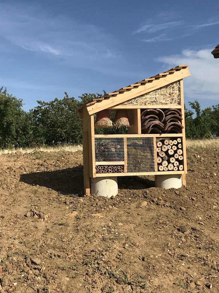 Le Bois de Champagne Nordique