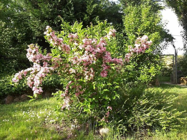 Bed & Breakfast I Pioppi Cipressini