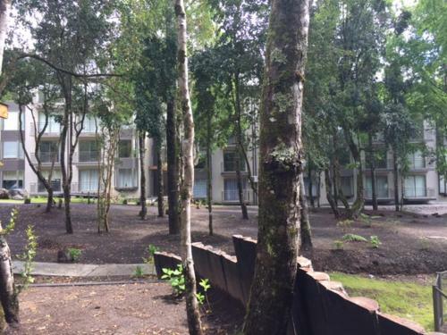 Apartamento Departamento Puc�n