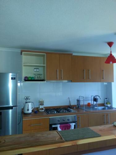 Apartamento Departamento En Pucon