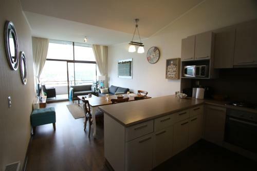Apartamento Departamento Costa Puc�n
