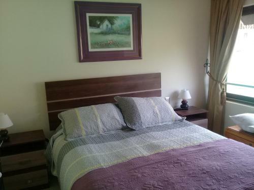 Casa Condominio Alicura Puc�n