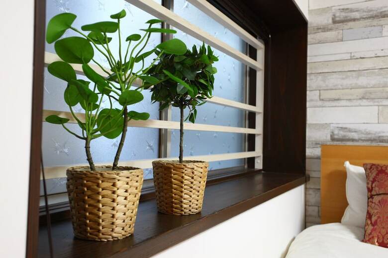 Samy's Guest House