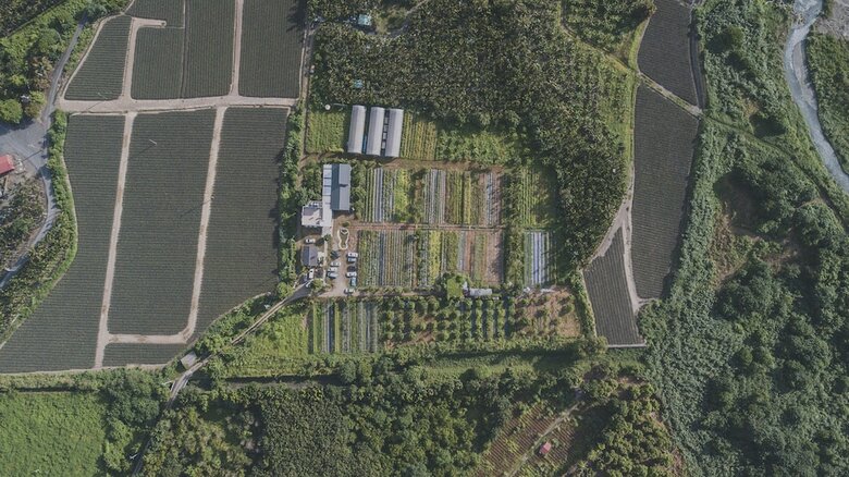 Bed & Breakfast Hakka Eco-farm