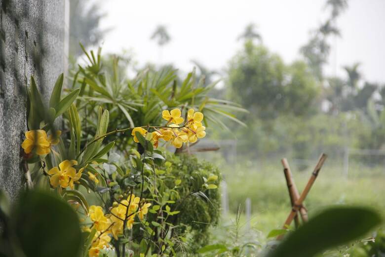 Bed & Breakfast Hakka Eco-farm