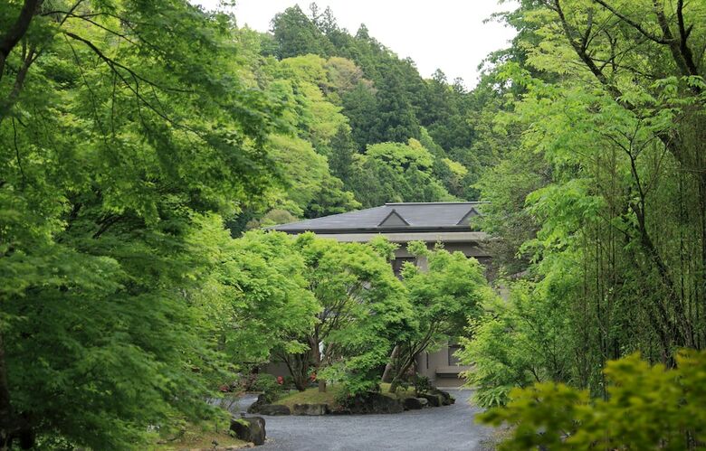 Keikoku Bettei Mochinoki