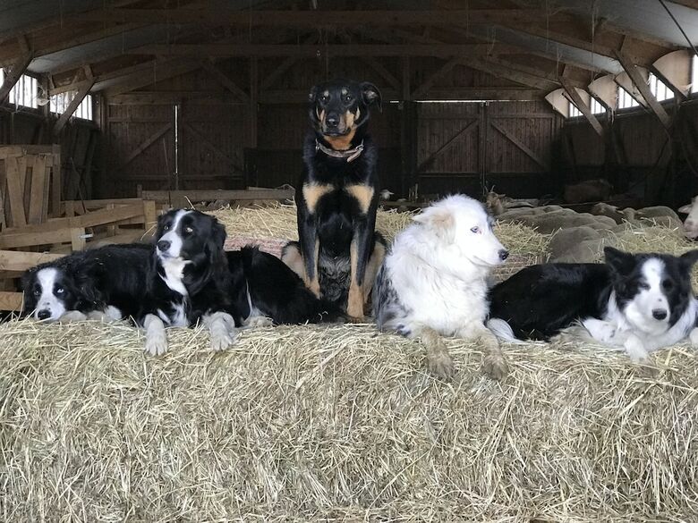 Les Gites De La Ferme