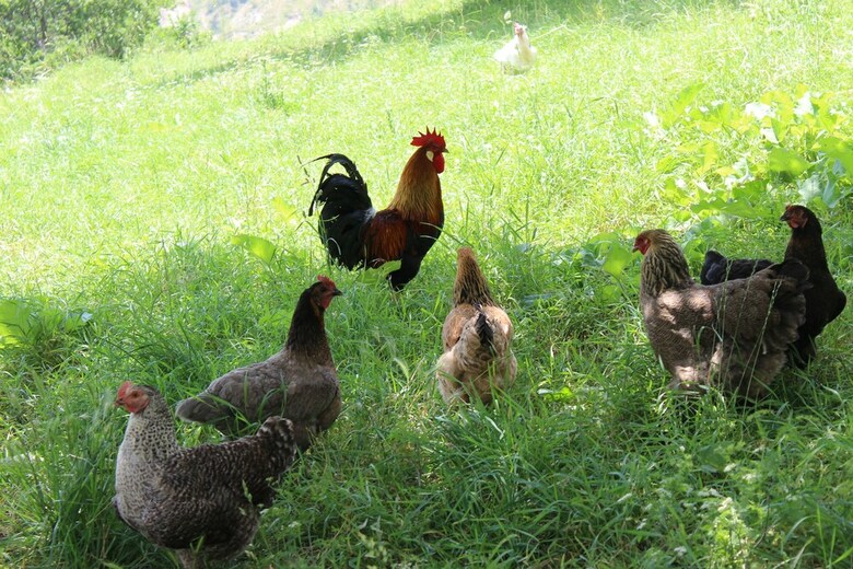 Les Gites De La Ferme
