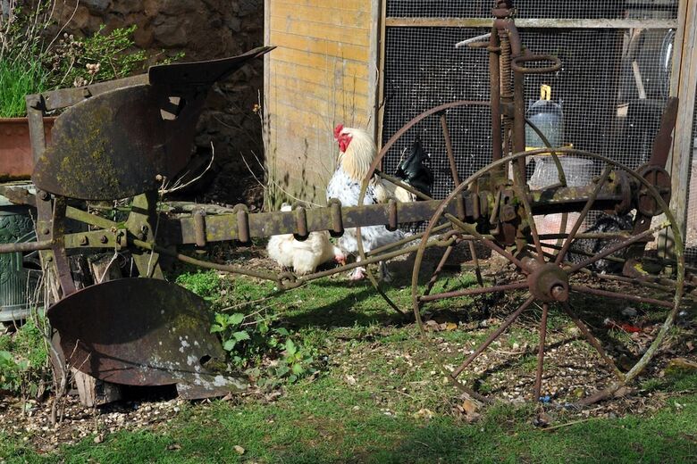 Agroturismo La Ferme de Flo'