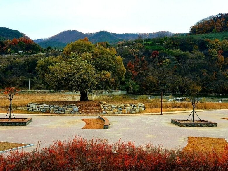 Andong Dasulki Camp