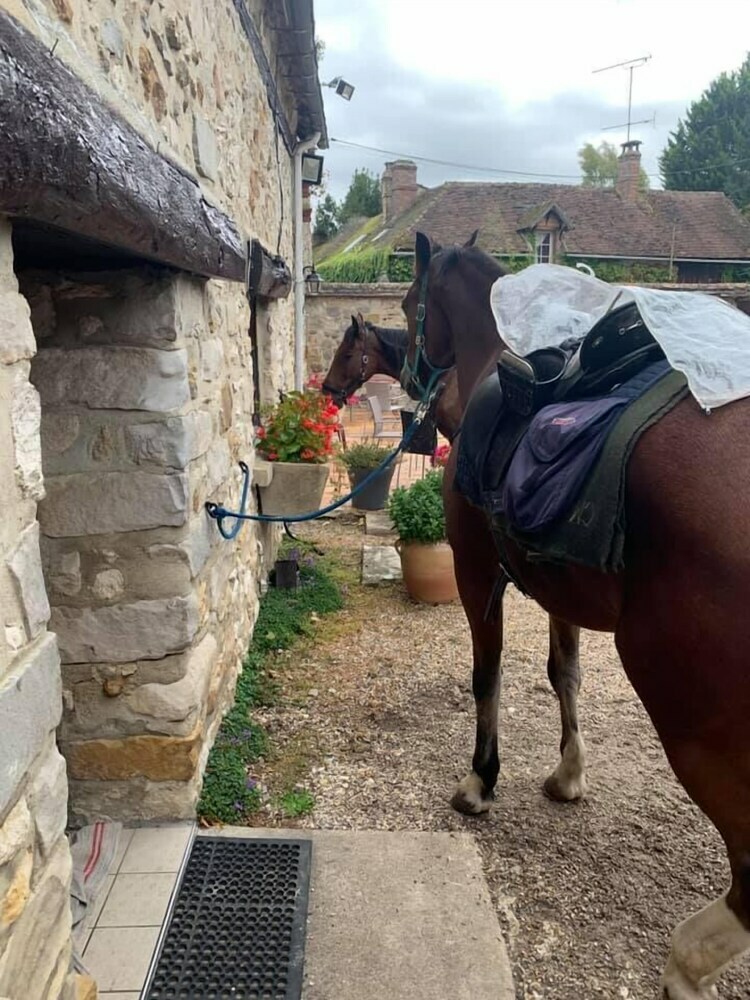 Hotel Au Moulin de Flagy