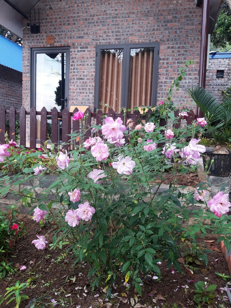 Hotel Green Homestay