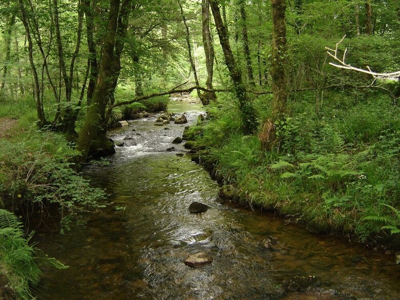 Bed & Breakfast La Vall�e Du Rivoal