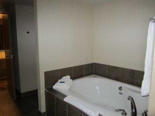 Hotel Woodlands Inn & Suites