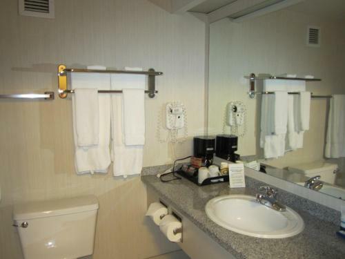 Hotel Woodlands Inn & Suites