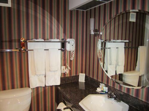 Hotel Woodlands Inn & Suites