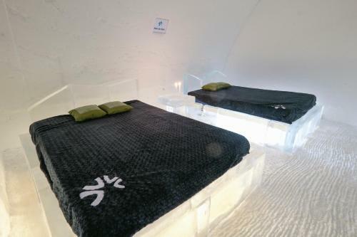 Hotel De Glace