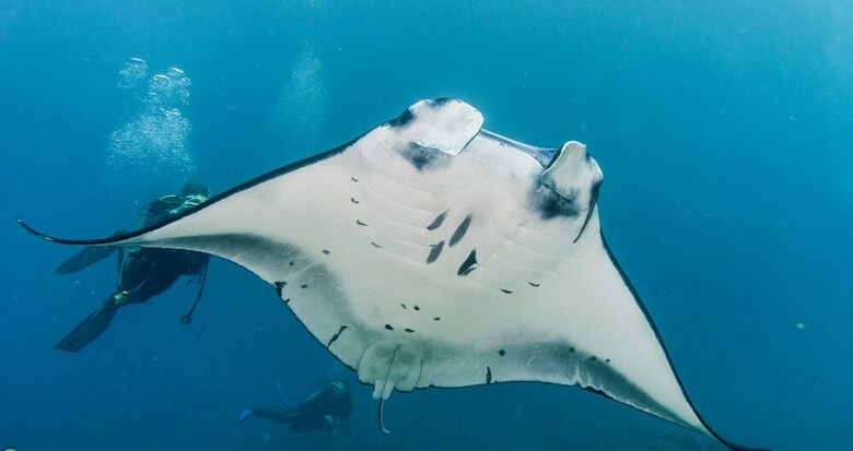 Hotel Kubu Indah Dive & Spa Resort