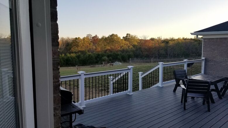 Southern Viking Bed And Breakfast