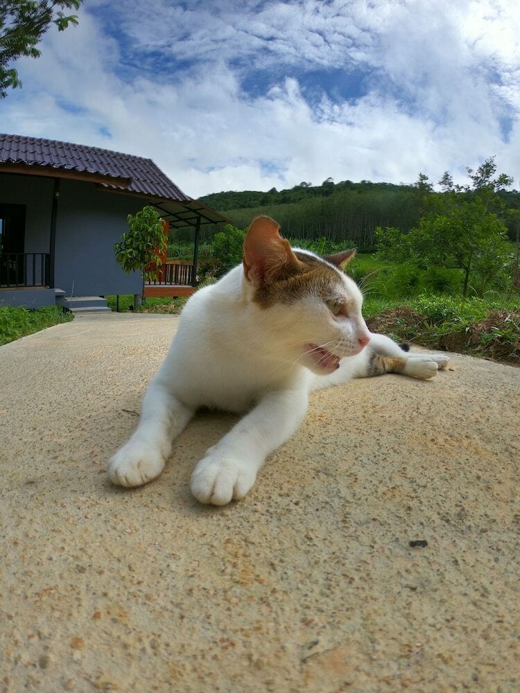 Hotel Green Mountain Resort Koh Yao