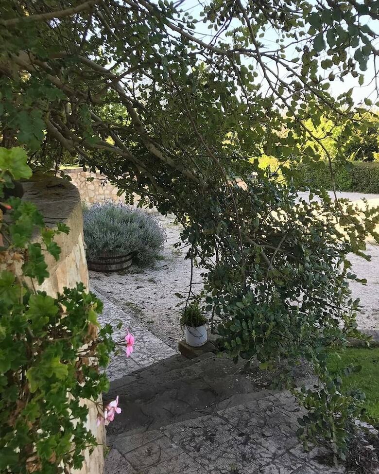 Bed & Breakfast Badde Cubas