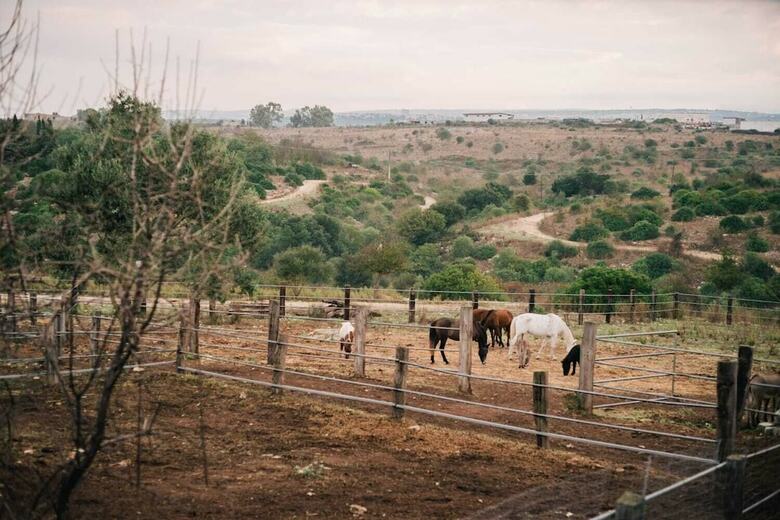 Bed & Breakfast Badde Cubas