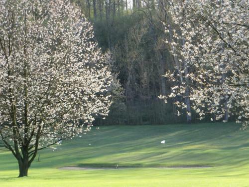 Hotel Golf & H�tel De Falnu�e