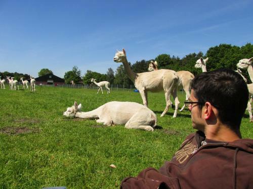 Apartamento De Alpacaboerderij