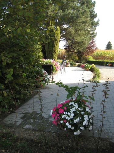 B&B Het Uilennest