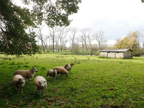 B&B De Camerling