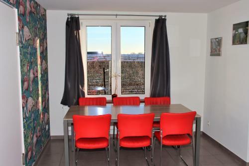 Apartamento Juwel Fruithof