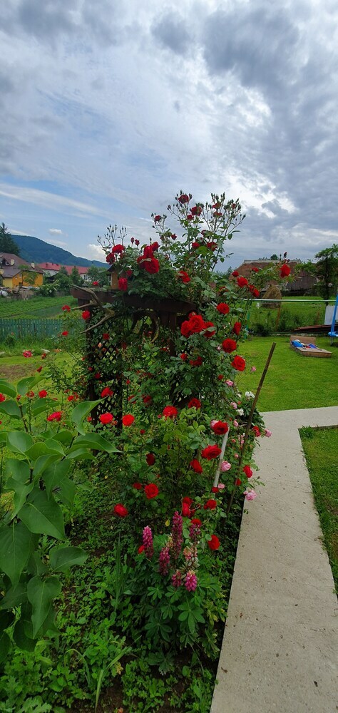 Pension Belvedere La Cristina