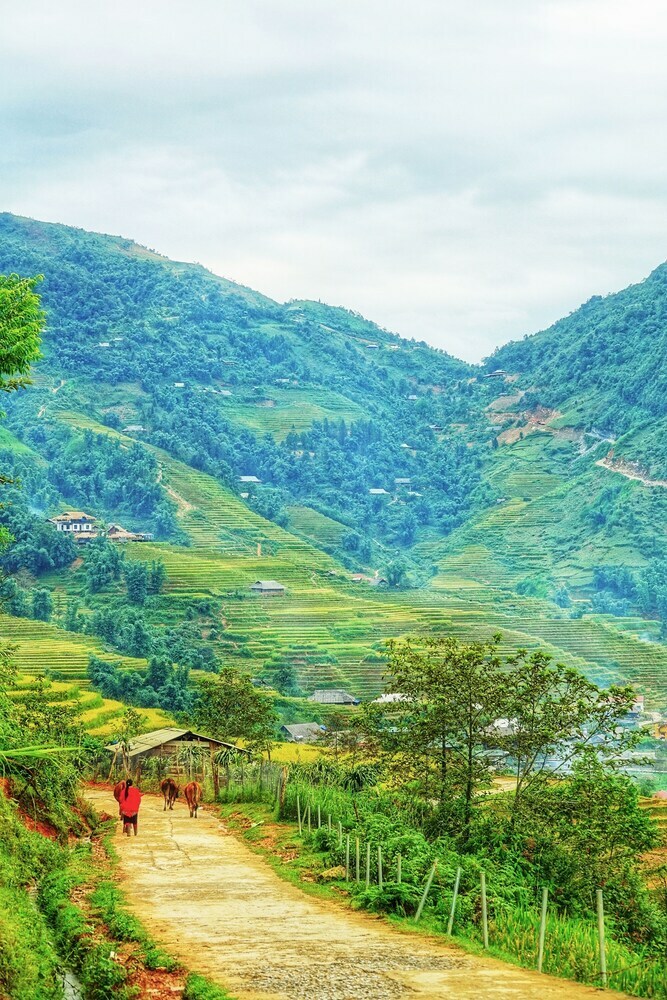 Hotel Sapa Mountain Eco Lodge