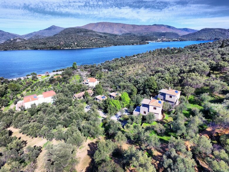 Hotel Gera's Olive Grove