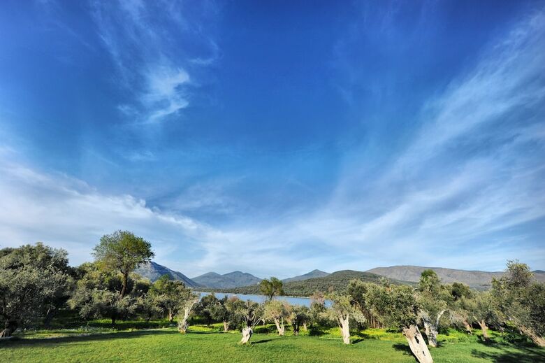 Hotel Gera's Olive Grove