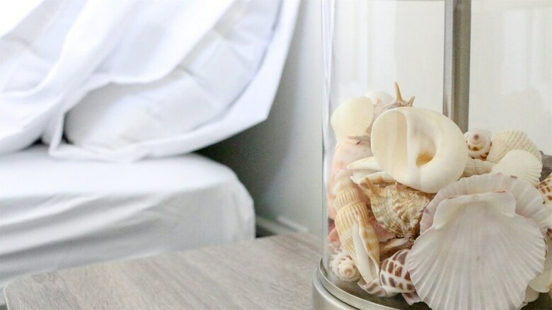 Blue Seashell