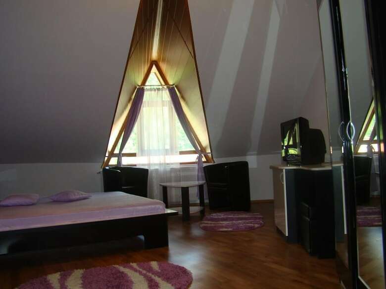 Hotel Pensiunea Floare de Colt