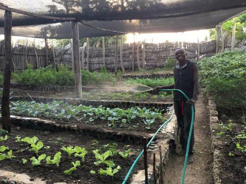 Apartamento Shamba House