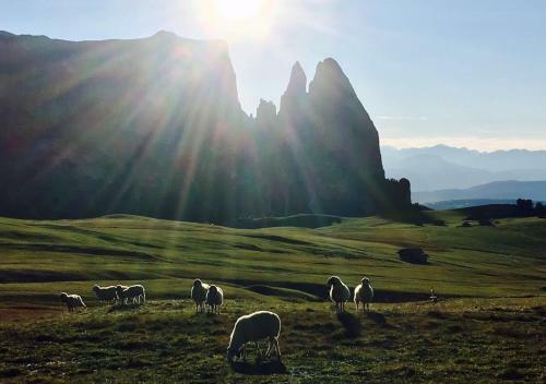 Hotel Chalet Dolomites