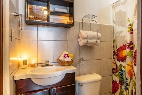 Alajuela City Hotel & Guest House