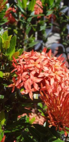 Alajuela City Hotel & Guest House