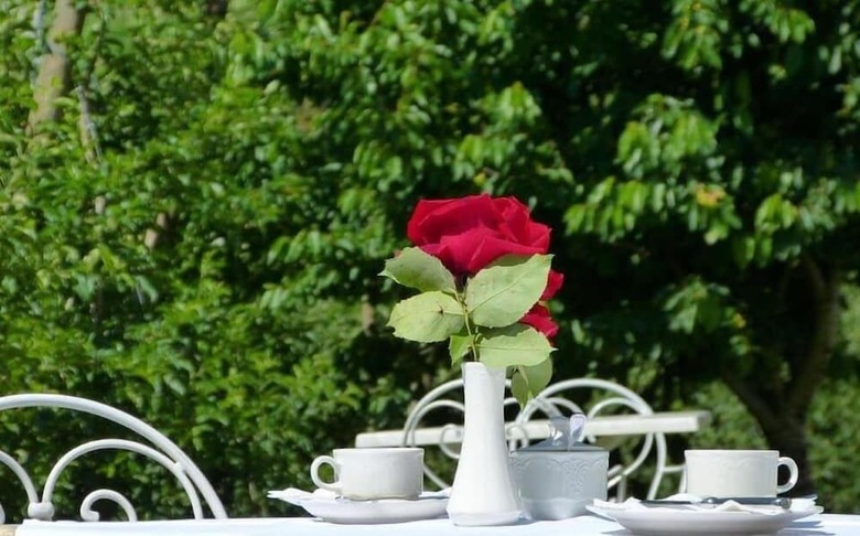 Bed & Breakfast Schloss Paschbach