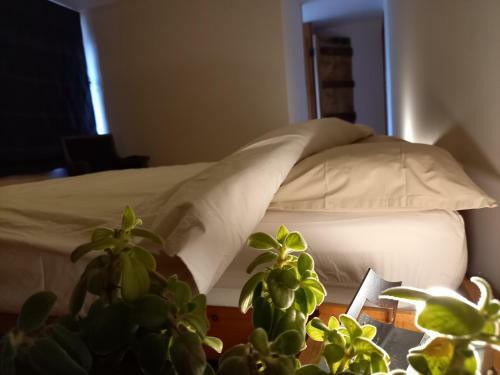 Hostal Aux Saveurs D'enneille