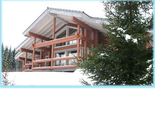 Hostal Ollinm�ki Vineyard