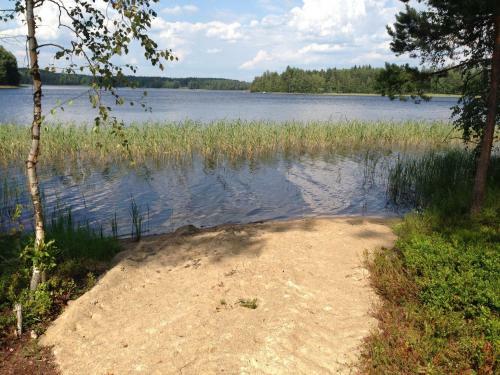 Hostal Ollinm�ki Vineyard