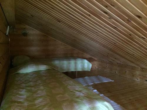Hostal Ollinm�ki Vineyard