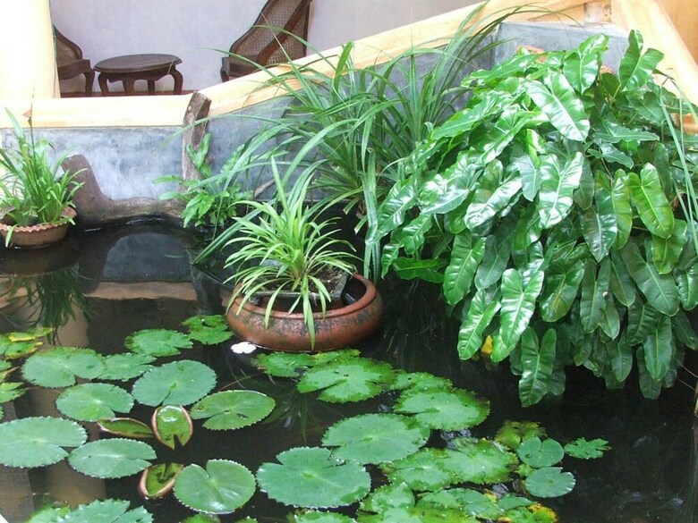 Hotel Ging Oya Lodge